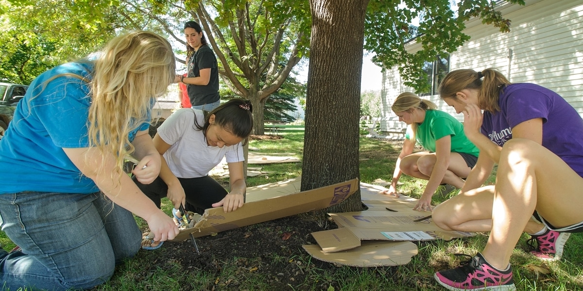 Northwestern students help with landscaping as part of their service-learning experience.