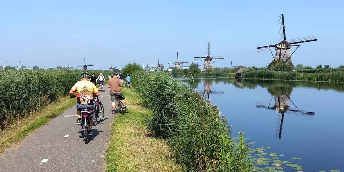 The Northwestern alumni tour group bicycles past the windmills at Kinderdijk.