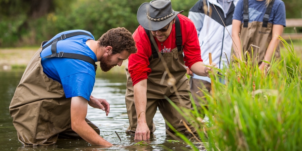 Biology professor Todd Tracy conducts field research with students.