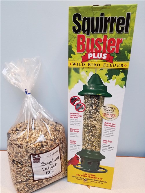 Squirrel Buster Plus Wild Bird Feeder