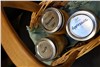 Canned Garden Produce 