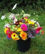 Large U-Pick Bouquets