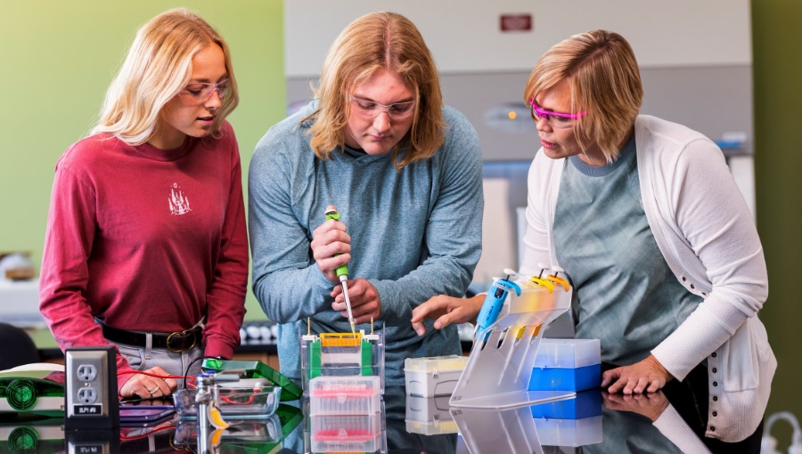 Student scholarships