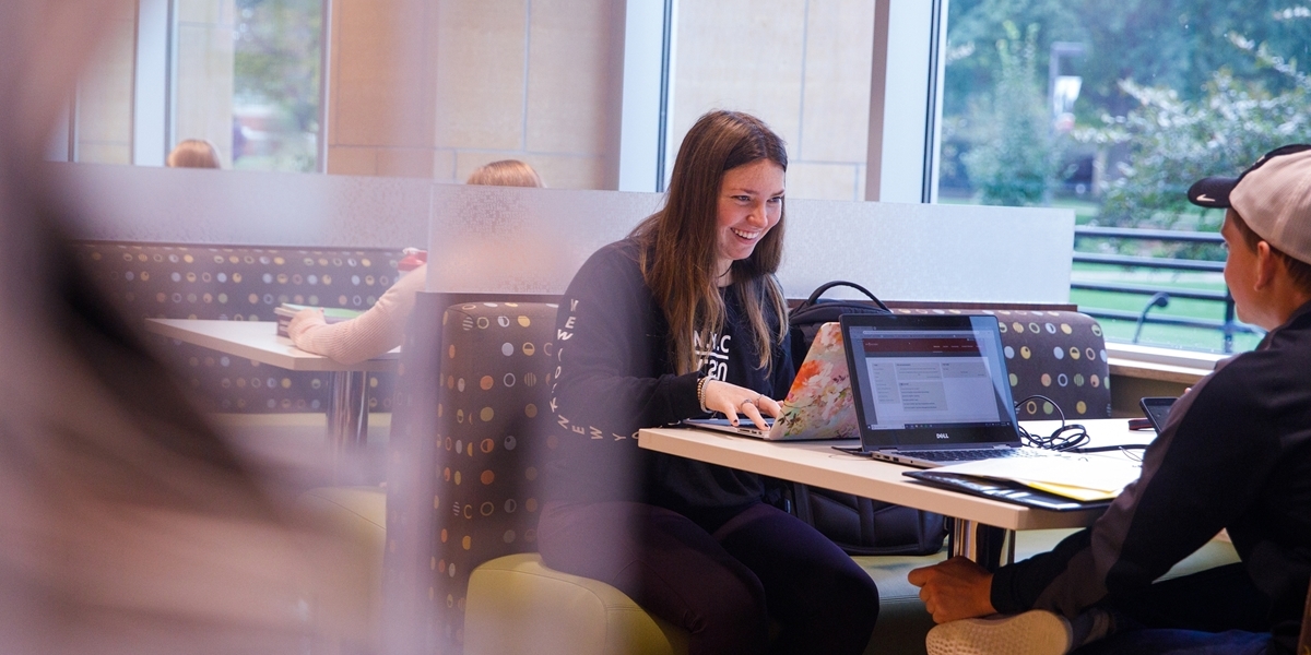 Students studying in the Learning Commons