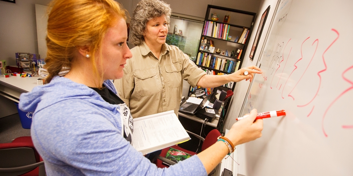 A Northwestern professor assists a student with a math problem.