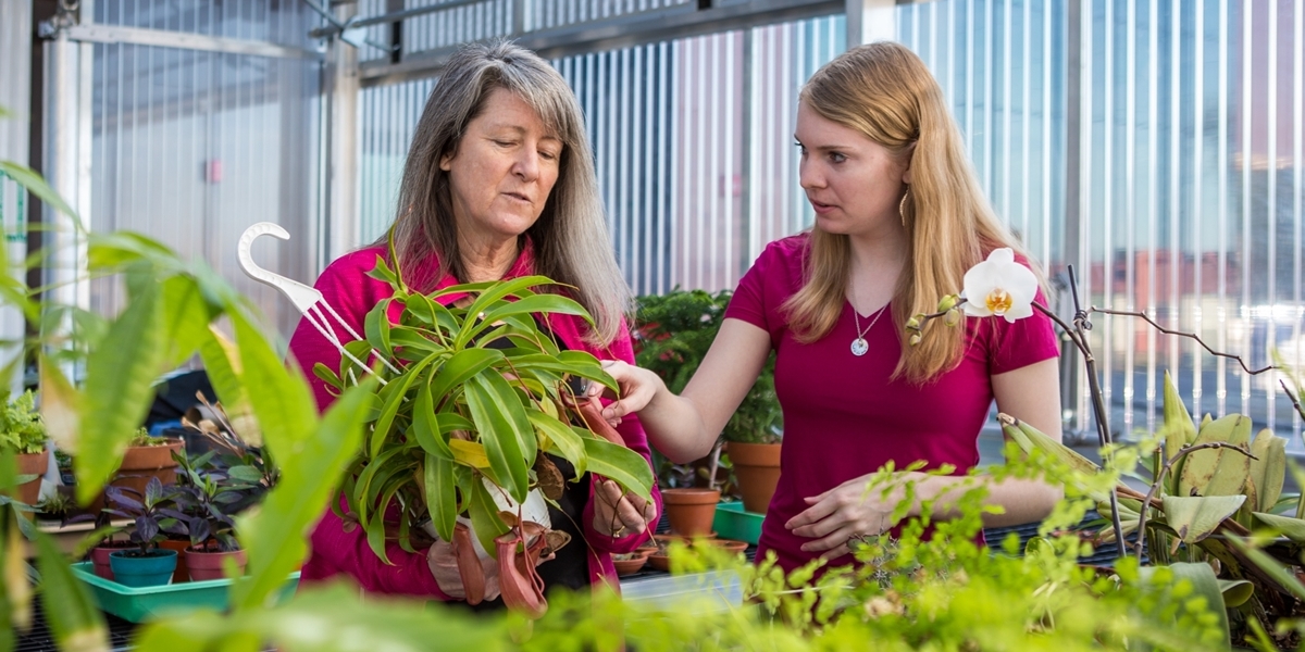 DeWitt Family Science Center greenhouse