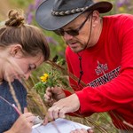 Northwestern faculty awarded grants for summer scholarship