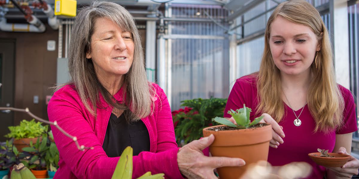 <div class='profile-name'>Dr. Laura Furlong</div>