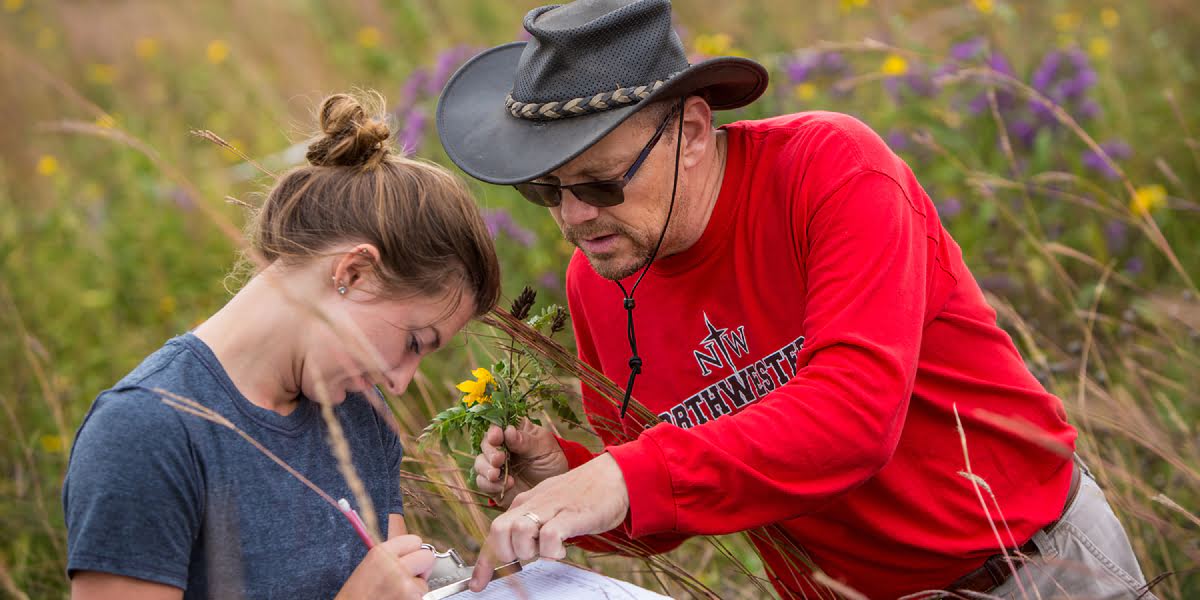 <div class='profile-name'>Dr. Todd Tracy</div>