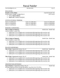 Resume example