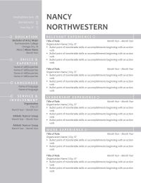 Resume example