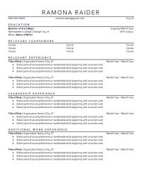 Resume example