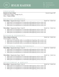 Resume example