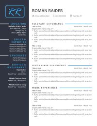 Resume example