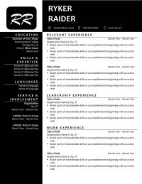 Resume example