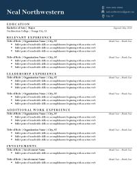 Resume example