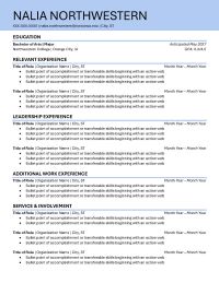 Resume example